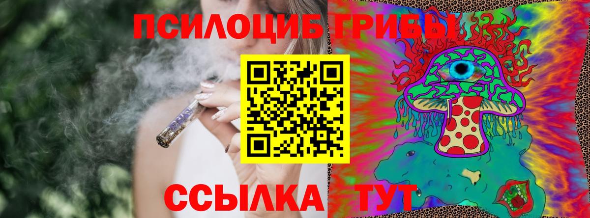 Псилоцибиновые грибы мицелий  Вход с VPN  Жуковский  Псилоцибиновые грибы Magic Shrooms 